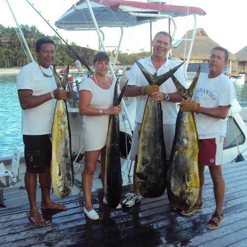 Mahi Mahi Fish Bora Bora