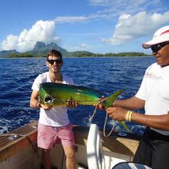 Mahi Mahi