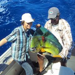 Mahi Mahi