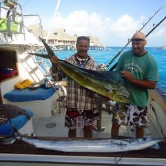 Mahi Mahi